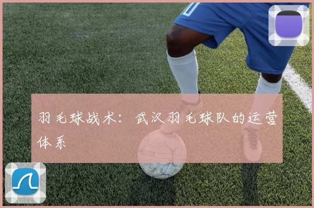 羽毛球战术：武汉羽毛球队的运营体系