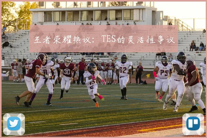 王者荣耀热议：TES的灵活性争议