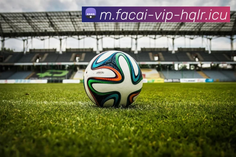 乐鱼体育平台生态图