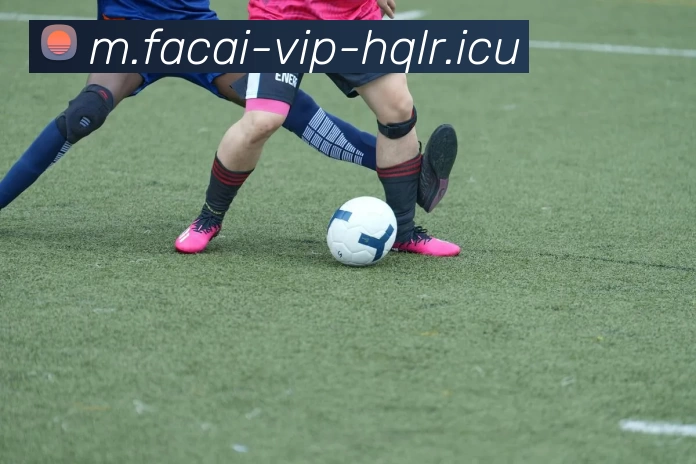 乐鱼体育全站App